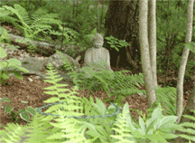 Buddha in Garden